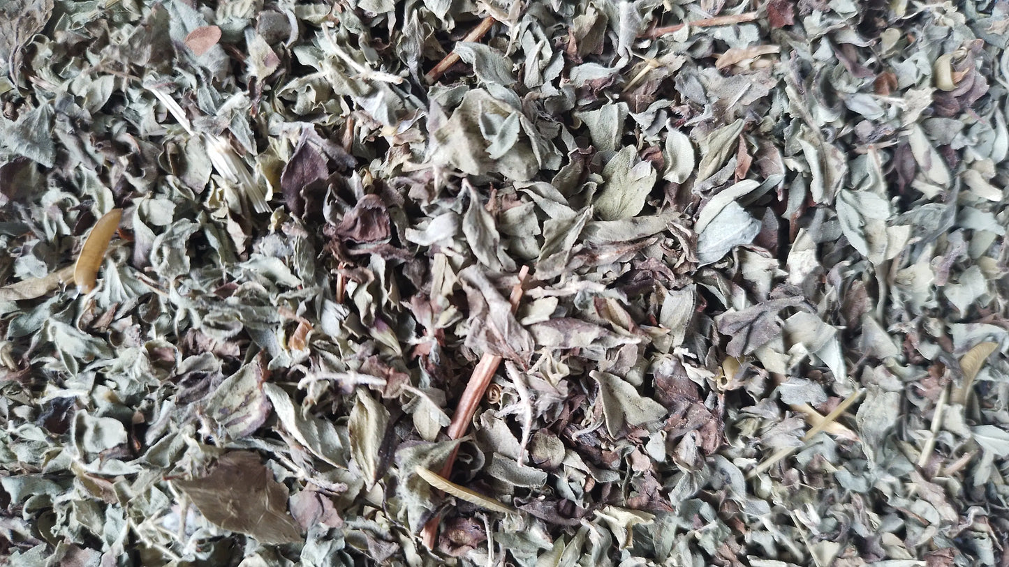 origan feuille bio tisane infusion