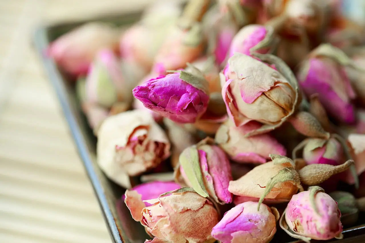 Rose de damas bouton bio origine Maroc