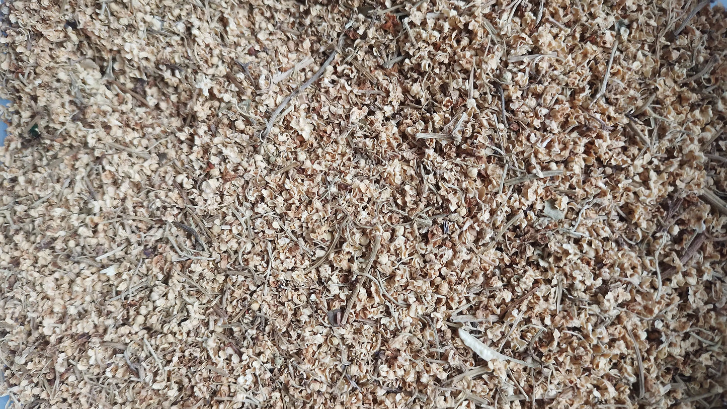 sureau noir fleurs bio tisane infusion