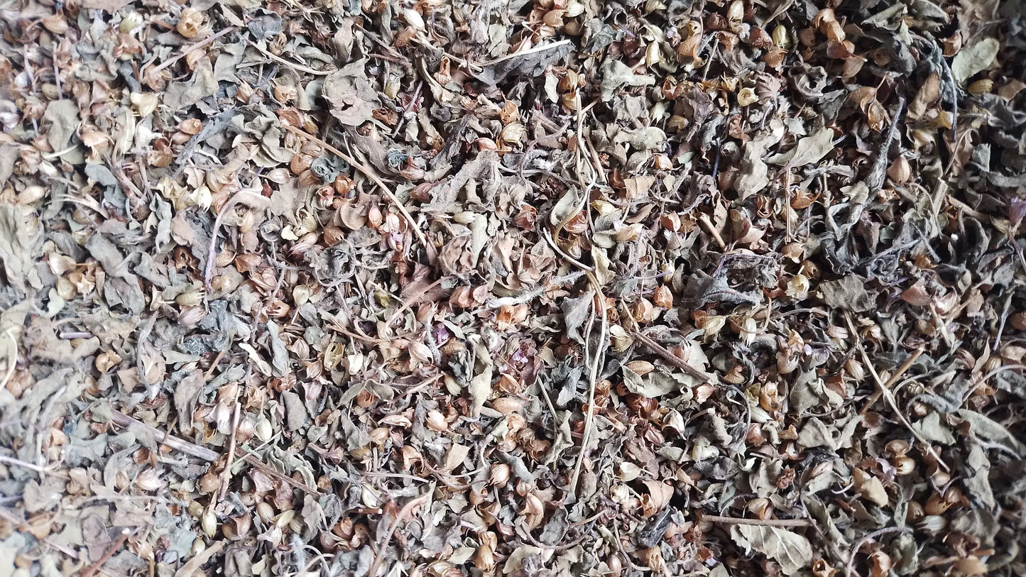 tulsi feuilles bio infusion tisane sachet