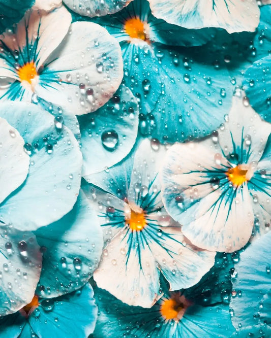 Explorez les Eaux Florales : Origines, Bienfaits et Utilisations
