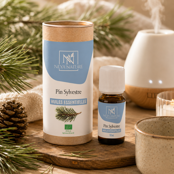 Huile Essentielle Pin Sylvestre Bio – Respiration, Énergie & Tonus naturel