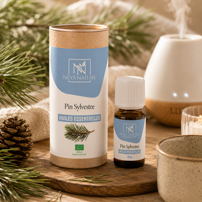 Huile Essentielle Pin Sylvestre Bio – Respiration, Énergie & Tonus naturel