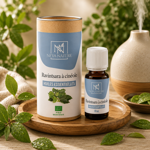 Huile Essentielle Ravintsara Bio – Immunité, Défenses & Énergie naturelle