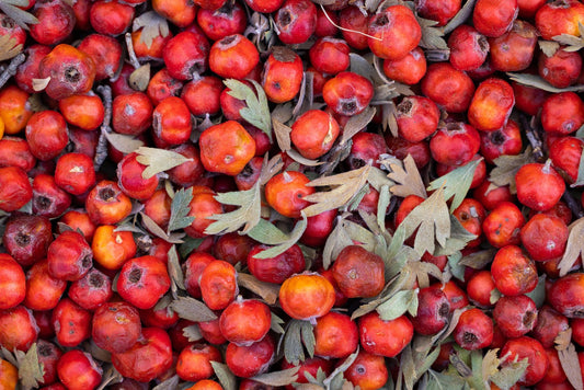 AUBÉPINE – BIO – Fruit Origine Bulgarie
