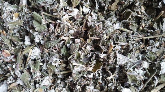 framboisier feuilles bio tisane infusion