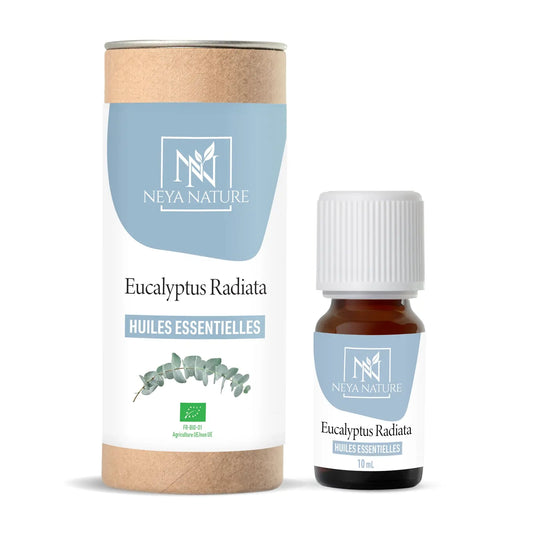 huile essentielle eucalyptus radié bio compte gouttes en verre 10ml