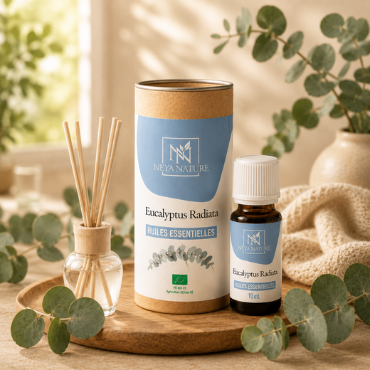 Huile Essentielle Eucalyptus Radiata Bio – Respiration, Fraîcheur & Confort naturel