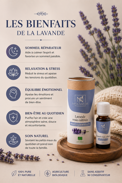 Huile Essentielle Lavande Bio – Relaxation, Sommeil & Apaisement naturel