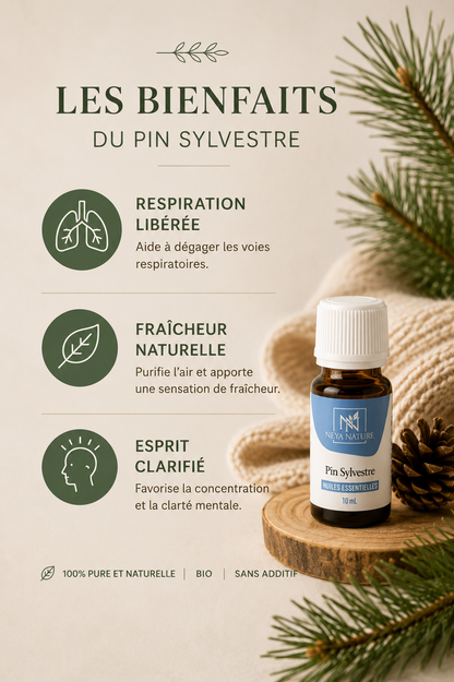 Huile Essentielle Pin Sylvestre Bio – Respiration, Énergie & Tonus naturel