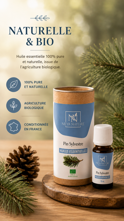 Huile Essentielle Pin Sylvestre Bio – Respiration, Énergie & Tonus naturel