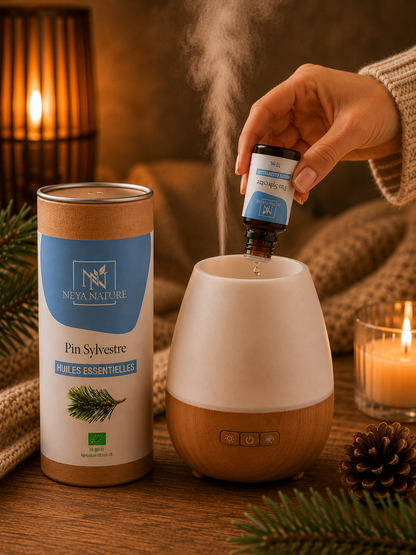 Huile Essentielle Pin Sylvestre Bio – Respiration, Énergie & Tonus naturel