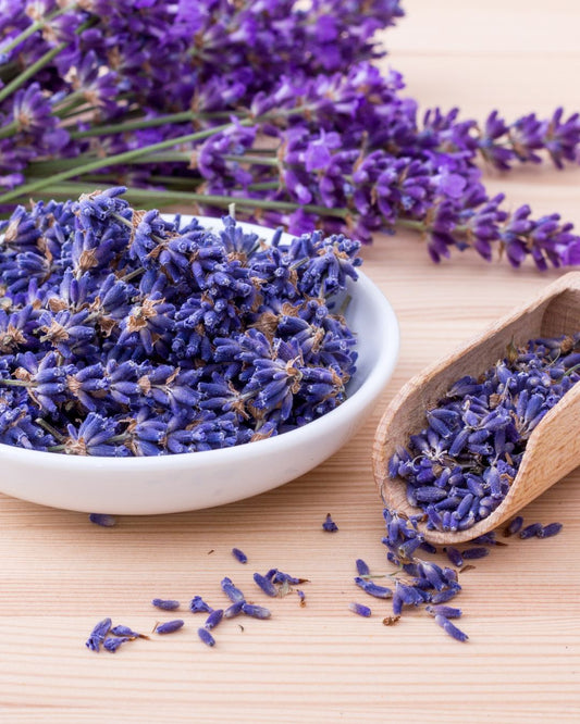 LAVANDE BIO fleurs