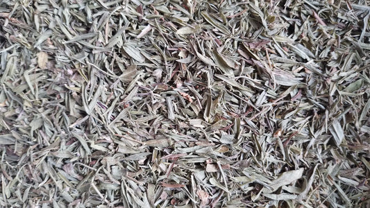 sarriette des montagnes feuilles bio tisane infusion