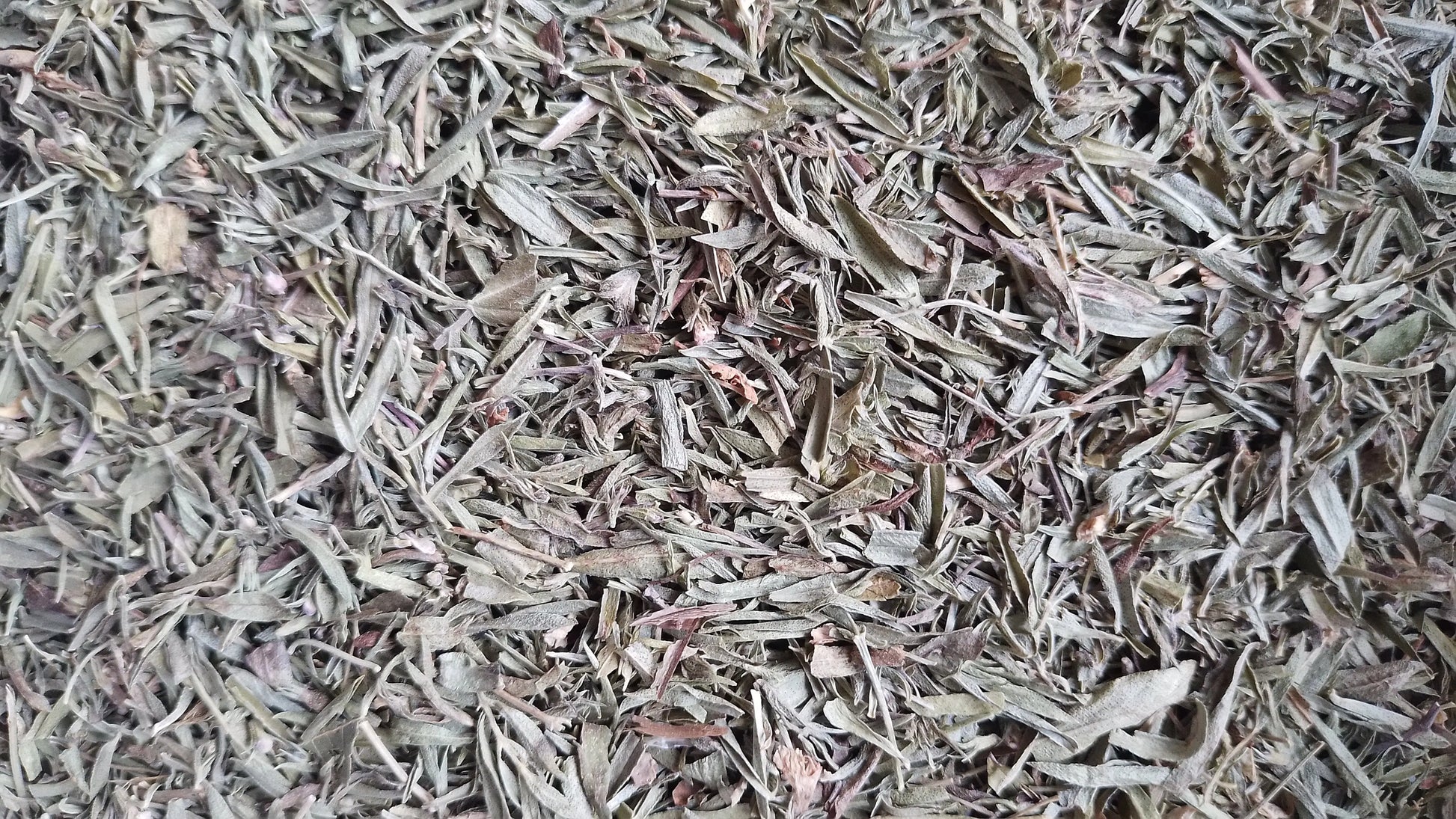 sarriette des montagnes feuilles bio tisane infusion